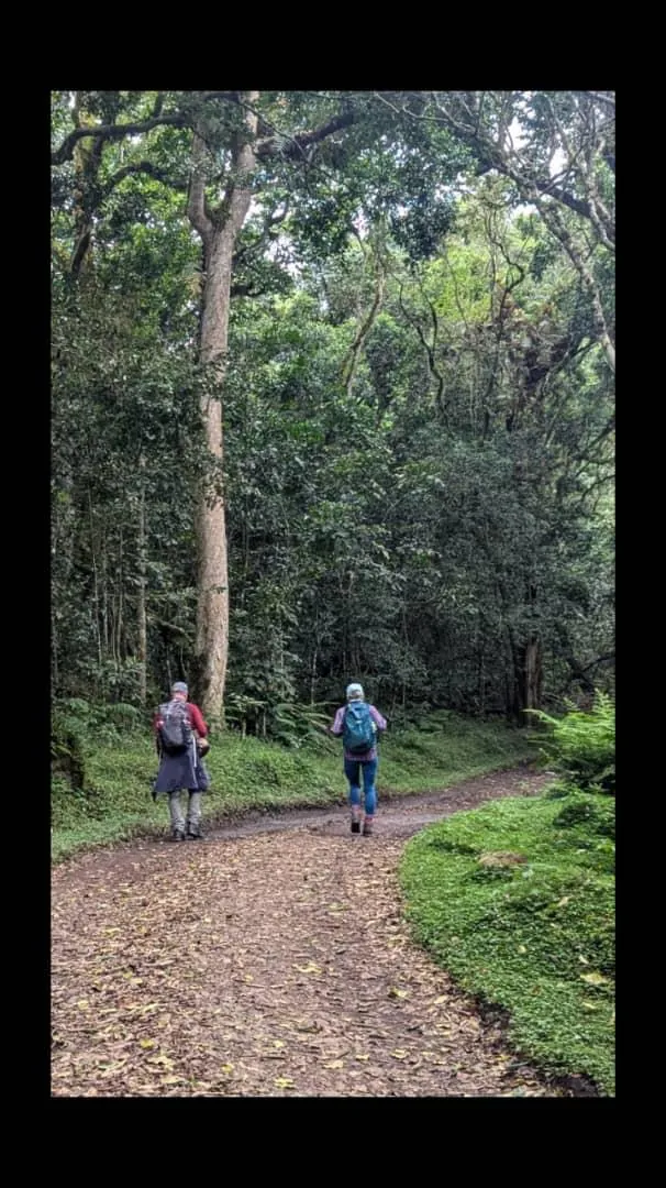 Mount Kilimanjaro trekking landscape